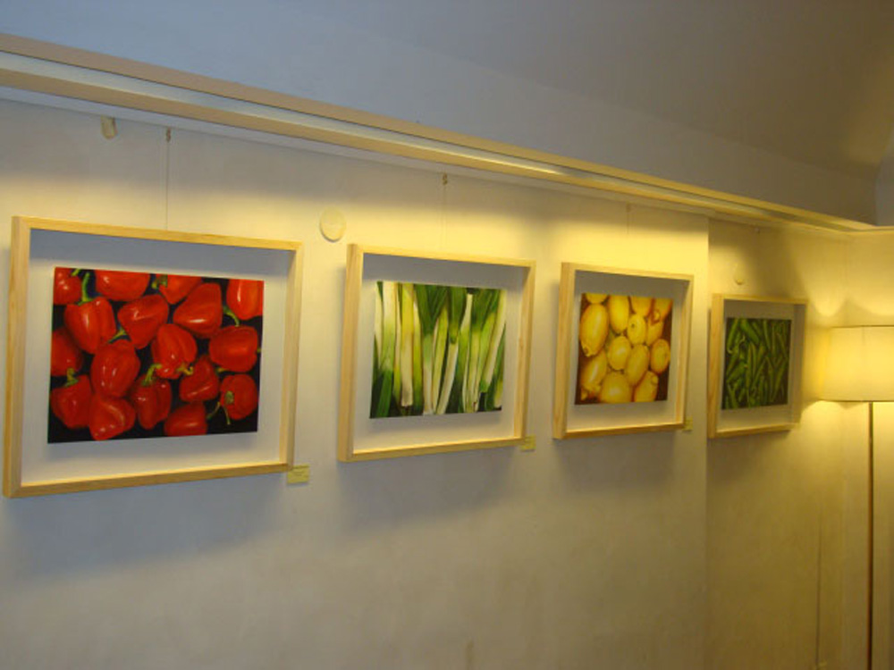 Sguardi Vegetali - immagine 15